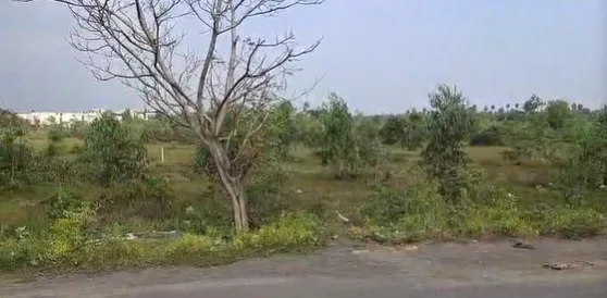 Outright 12 Acres - Perumalthangal